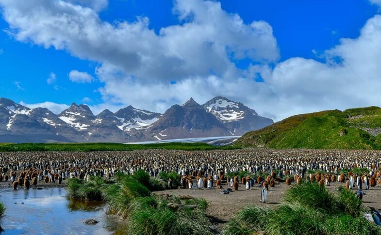 Falkland Islands